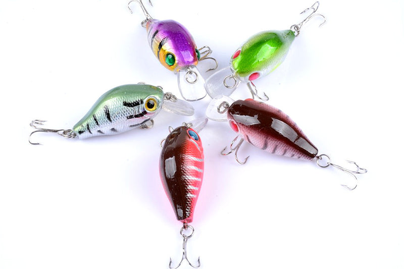 5x 5.5cm Popper Crank Bait Fishing Lure Lures Surface Tackle Saltwater