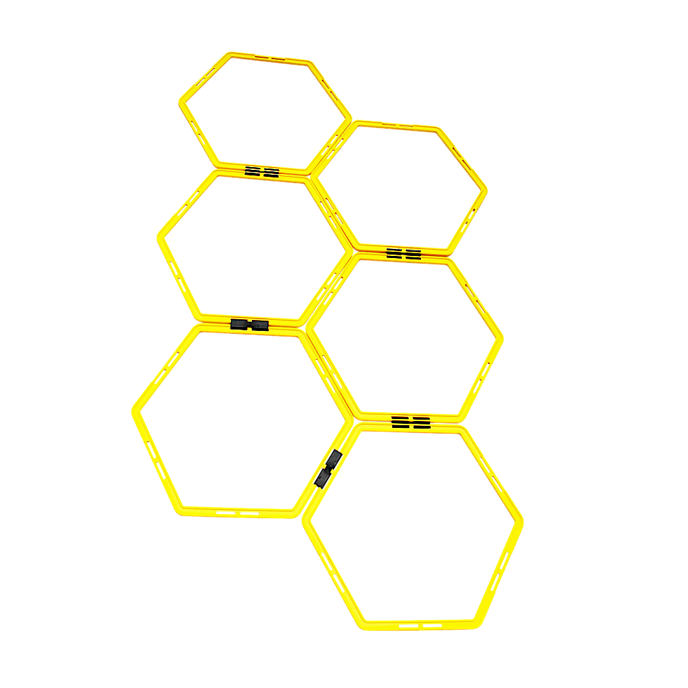 Fitness Agility Grid System